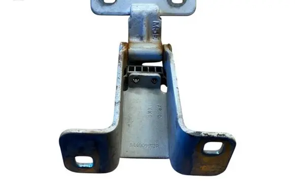 Dacia Dokker Tailgate/trunk/boot hinge 844009913R