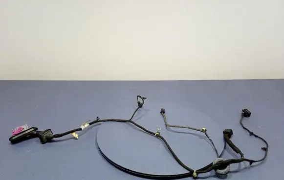 Opel Zafira C Other wiring loom 13438222