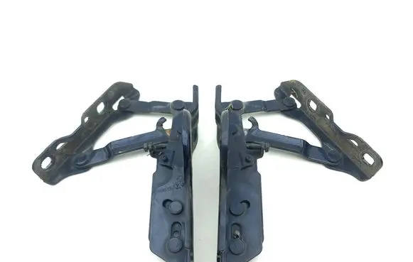 Tesla Model S Engine bonnet/hood hinges