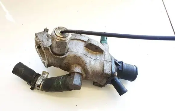 Peugeot Partner Engine coolant pipe/hose 9624839210