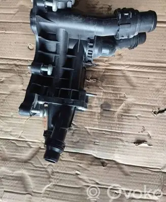 Thermostat/thermostat housing