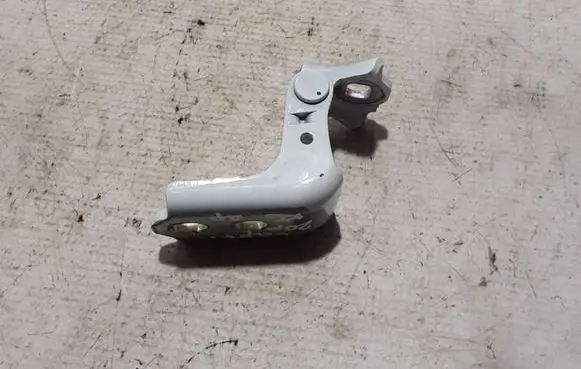 Renault Captur II Rear door lower hinge 804007836R