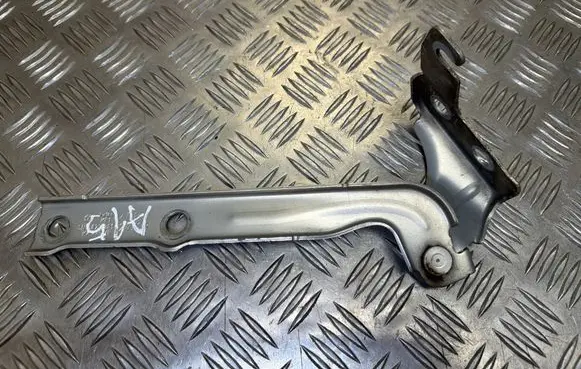 Volkswagen Tiguan Engine bonnet/hood hinges 5N0823301A