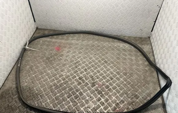 Toyota RAV 4 (XA20) Front door rubber seal 
