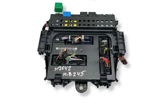 Mercedes-Benz B W245 SAM control unit A1699001600 5DK00872840