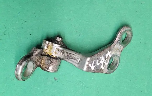 Rear door lower hinge
