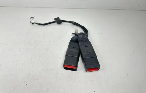 Nissan Leaf II (ZE1) Rear seatbelt buckle 6262419