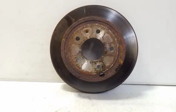 Rear brake disc
