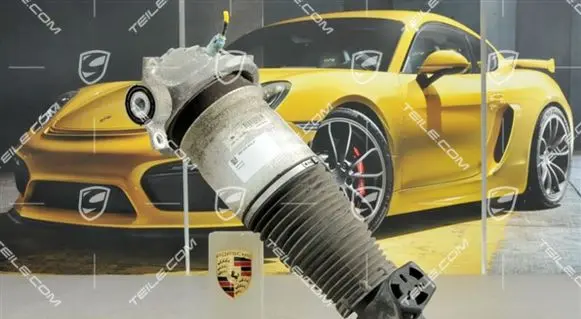 Porsche Cayenne (9PA) Rear shock absorber/damper 95533303422
