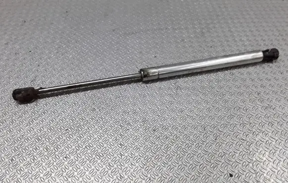 Tailgate/trunk strut/damper
