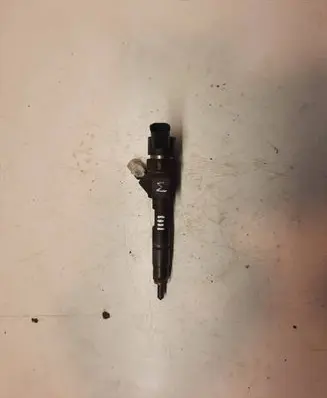Renault Megane II Fuel injector 8200100272 0445110110B