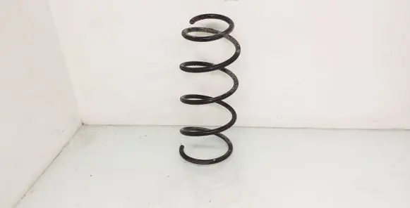 Front coil spring