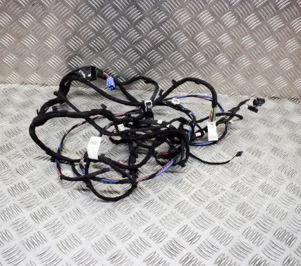BMW i3 Other wiring loom 8806945 67335410