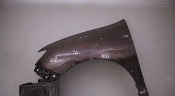 Dacia Logan II Fender mounting bracket 