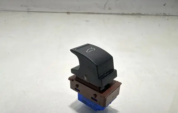 Volkswagen PASSAT B7 Tailgate opening switch 3AA959831