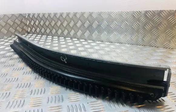 Chrysler Voyager Door glass rail 
