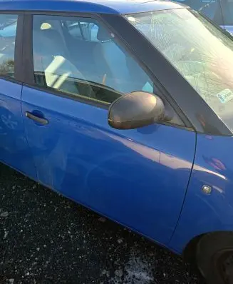 Skoda Fabia Mk2 (5J) Front door 4590