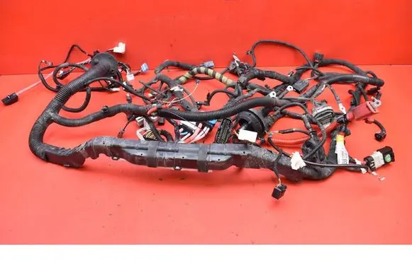Tesla Model Y Other wiring loom P248905802B