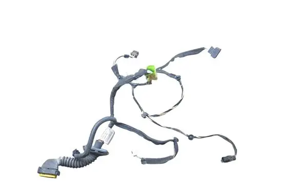 Renault Trafic II (X83) Front door wiring loom 93858817 8200621567