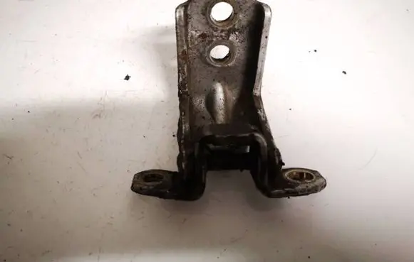 Nissan Pathfinder R51 Rear door lower hinge