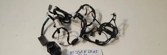 Nissan Leaf II (ZE1) Reversing camera 284425SA1D