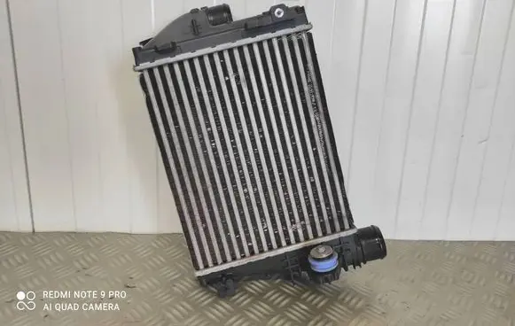Peugeot Expert Intercooler radiator P9806562180 1954128