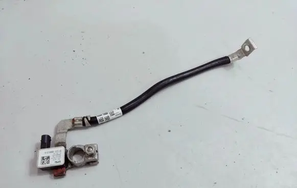 BMW 5 G30 G31 G38 Negative earth cable (battery) 8795892 6840519