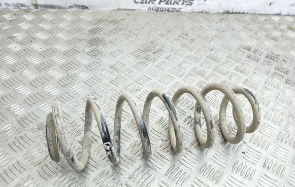Rear coil spring
