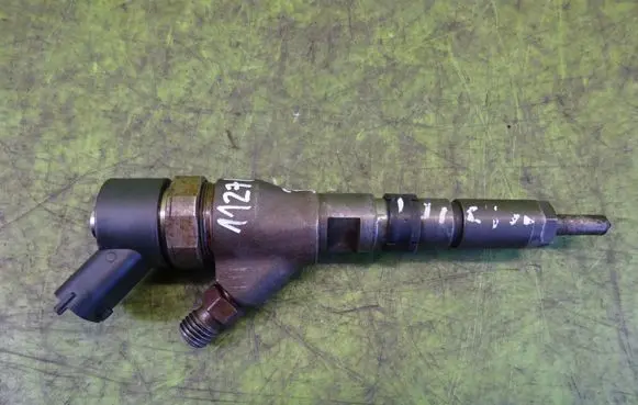 Citroen C5 Fuel injector 0445110076
