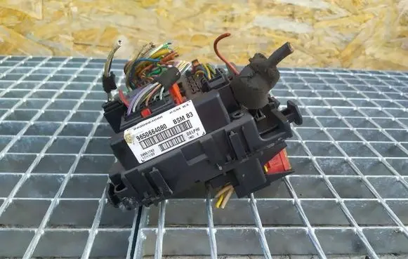 Peugeot 206 BSM Control unit 9650664080