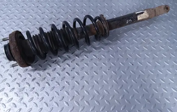 Chevrolet Epica Rear shock absorber with coil spring 96820579