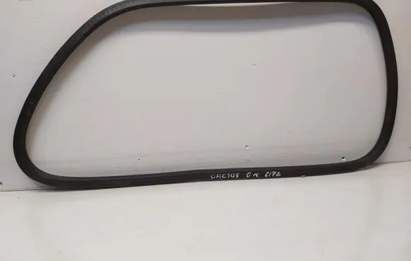 Citroen C4 Cactus Rubber seal rear door window/glass 