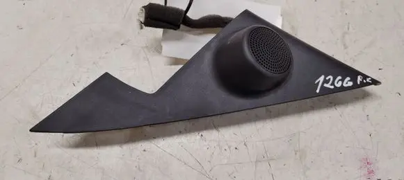 Front door high frequency speaker