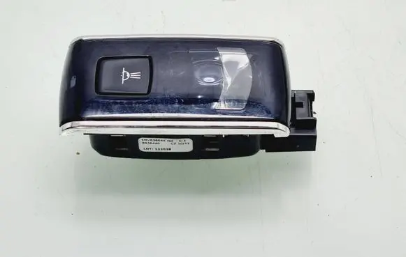 Peugeot 508 Rear seat light 8956440
