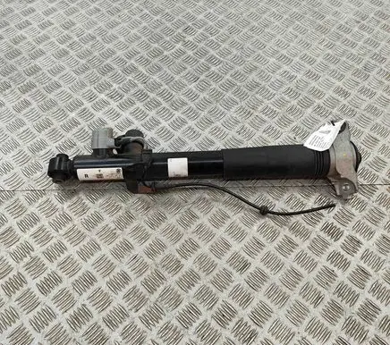 Porsche Cayenne (9Y0 9Y3) Rear shock absorber/damper 9Y0512010 9Y0513028F