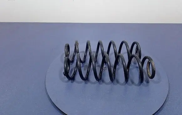 Rear coil spring