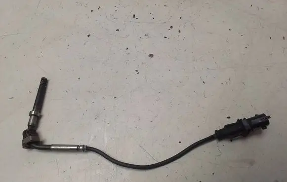 Opel Insignia A Exhaust gas pressure sensor 1002969401459 55566185