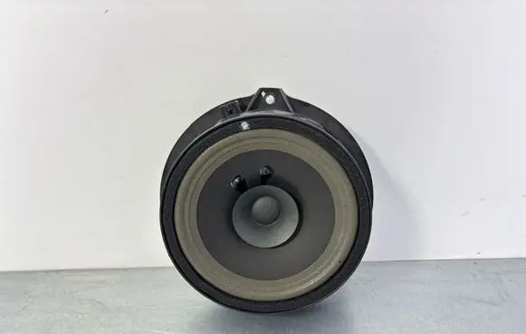 MG ZS Front door speaker 10471423