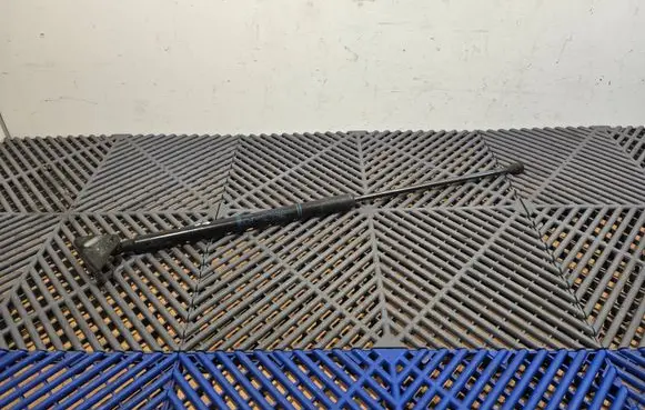 Toyota C-HR I Tailgate strut 