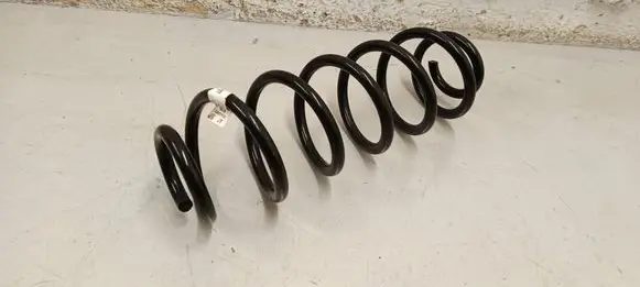 Rear coil spring
