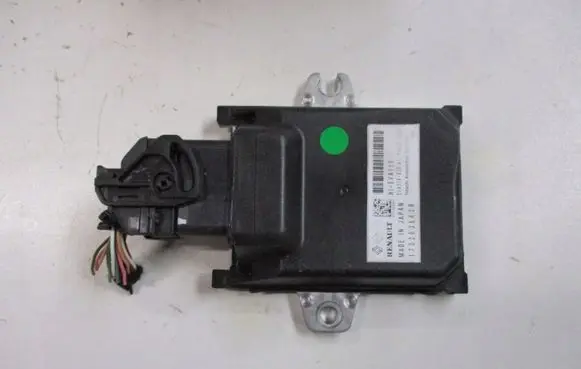 Renault Mégane Renault Sport III (IV Based) Other interior part 173203643R