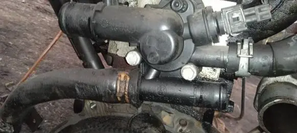 Nissan Primera Engine coolant pipe/hose
