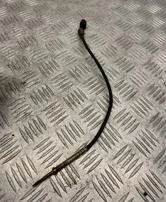 Exhaust gas temperature sensor