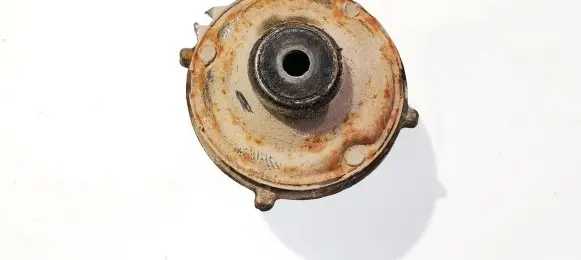 Coil spring mount