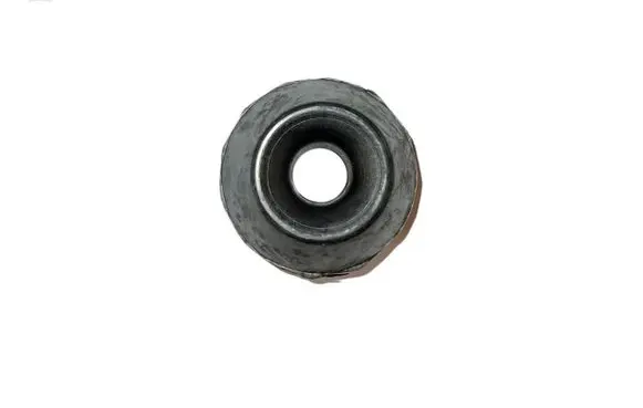 Coil spring mount