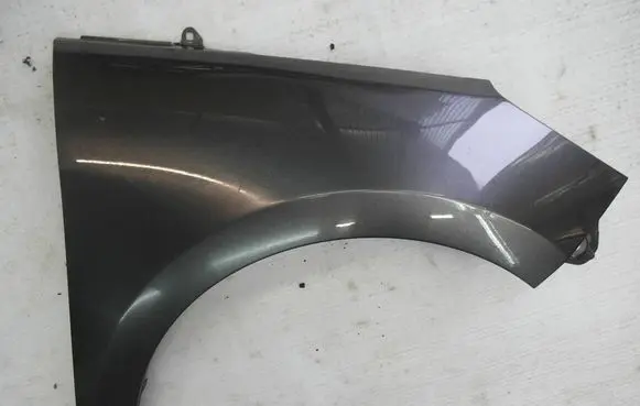 Ford Fiesta Fender BLOTNI