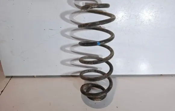 Rear coil spring