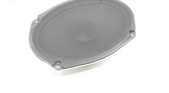 Chrysler 300 - 300C Rear door speaker P05059063AC