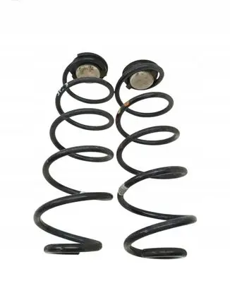 Rear coil spring