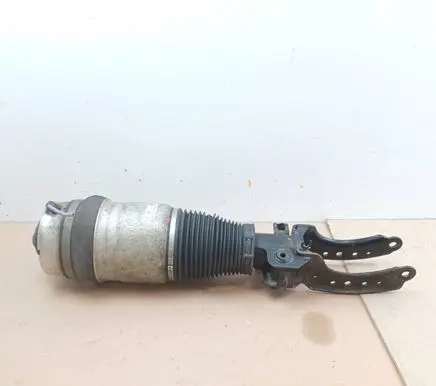 Porsche Cayenne (9PA) Air suspension front shock absorber 7L5412021BG